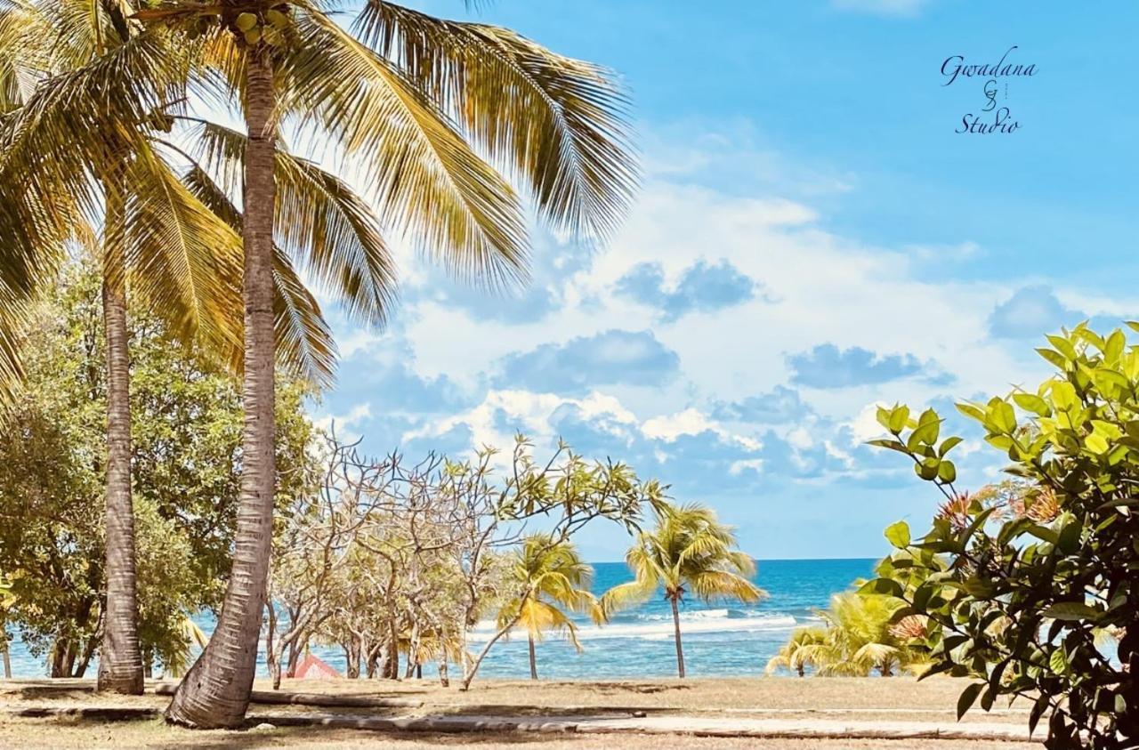 Acces Direct Plage, Vue Mer D'Exception, Les Gwada Studios, Village Vacances Sainte-Anne  Exterior photo